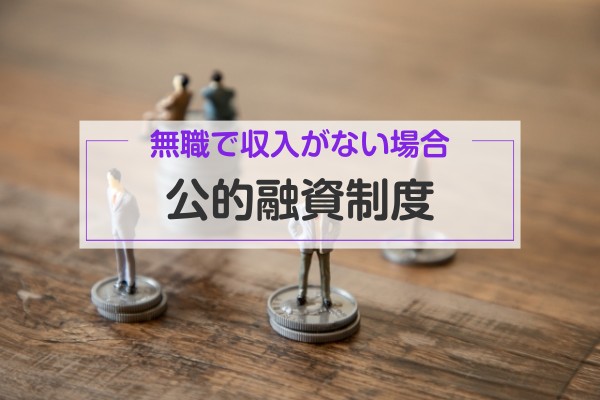 無職で収入がない場合、公的融資制度